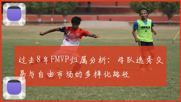 过去8年FMVP归属分析：母队选秀交易与自由市场的多样化路径